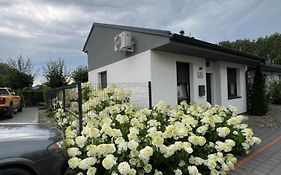 Hortensja 2 Check-In 24H